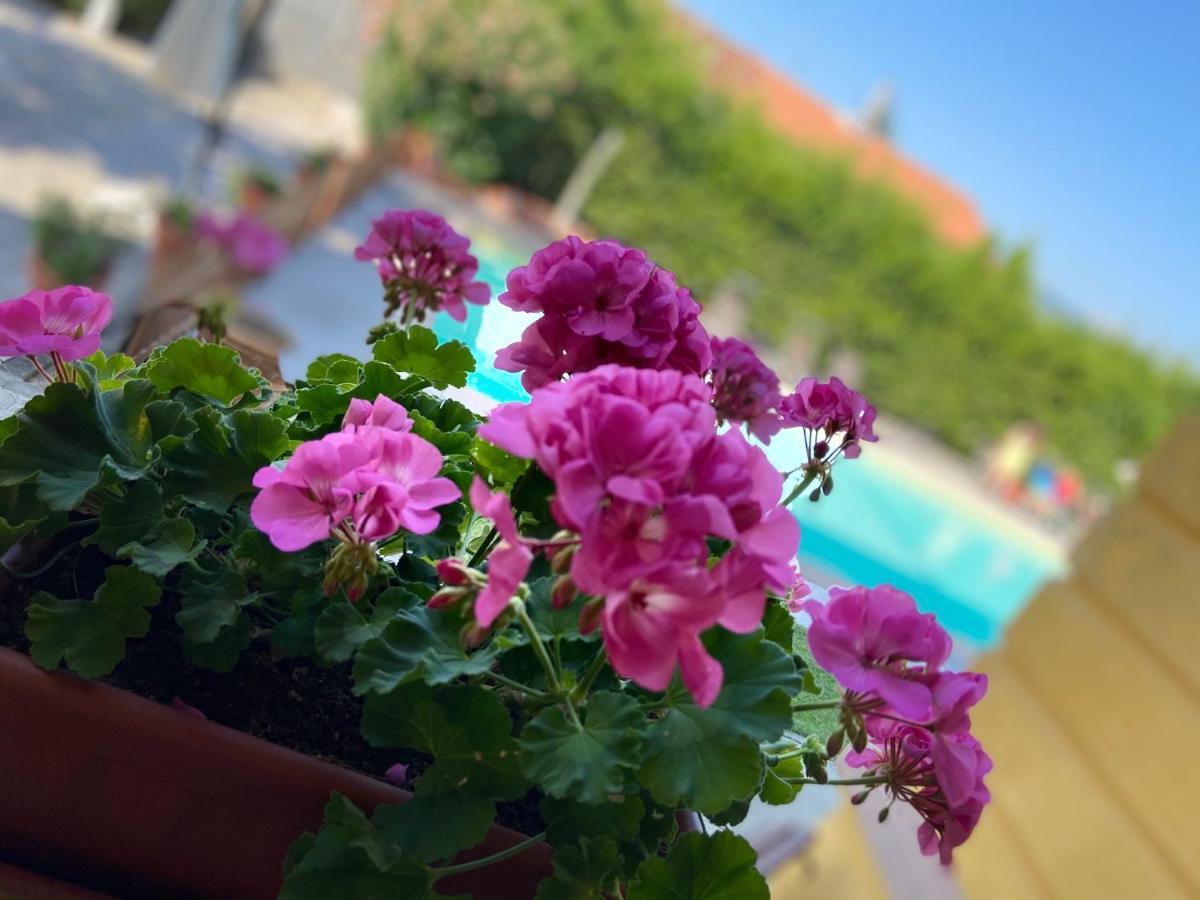 Moorings Barga